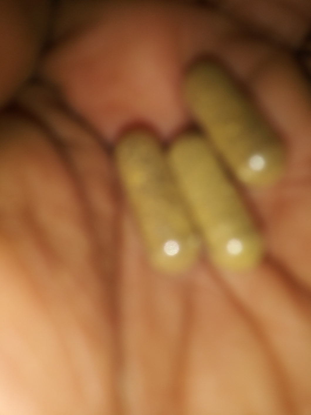Wormwood capsules